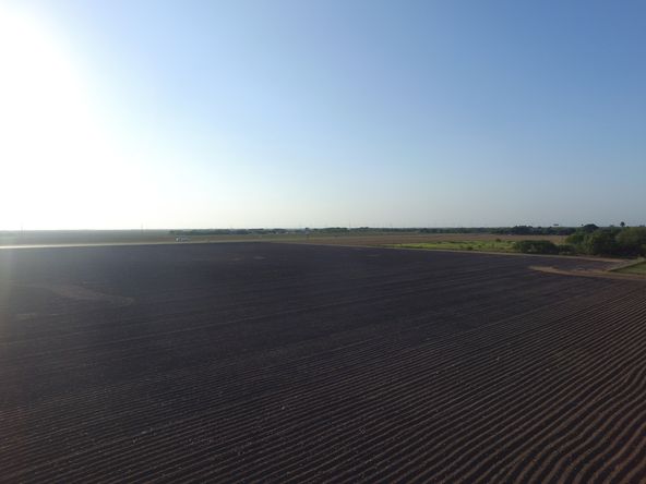 Development Potential: FM 1921 E & N US Highway 77, Lyford, TX 78569